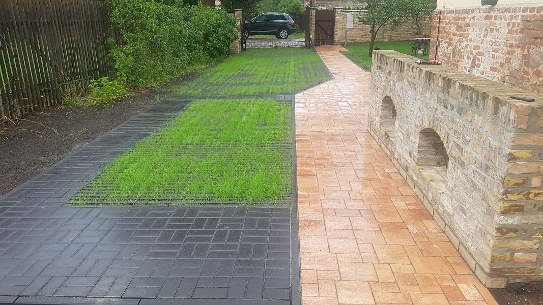 lorem ipsum dolor sit