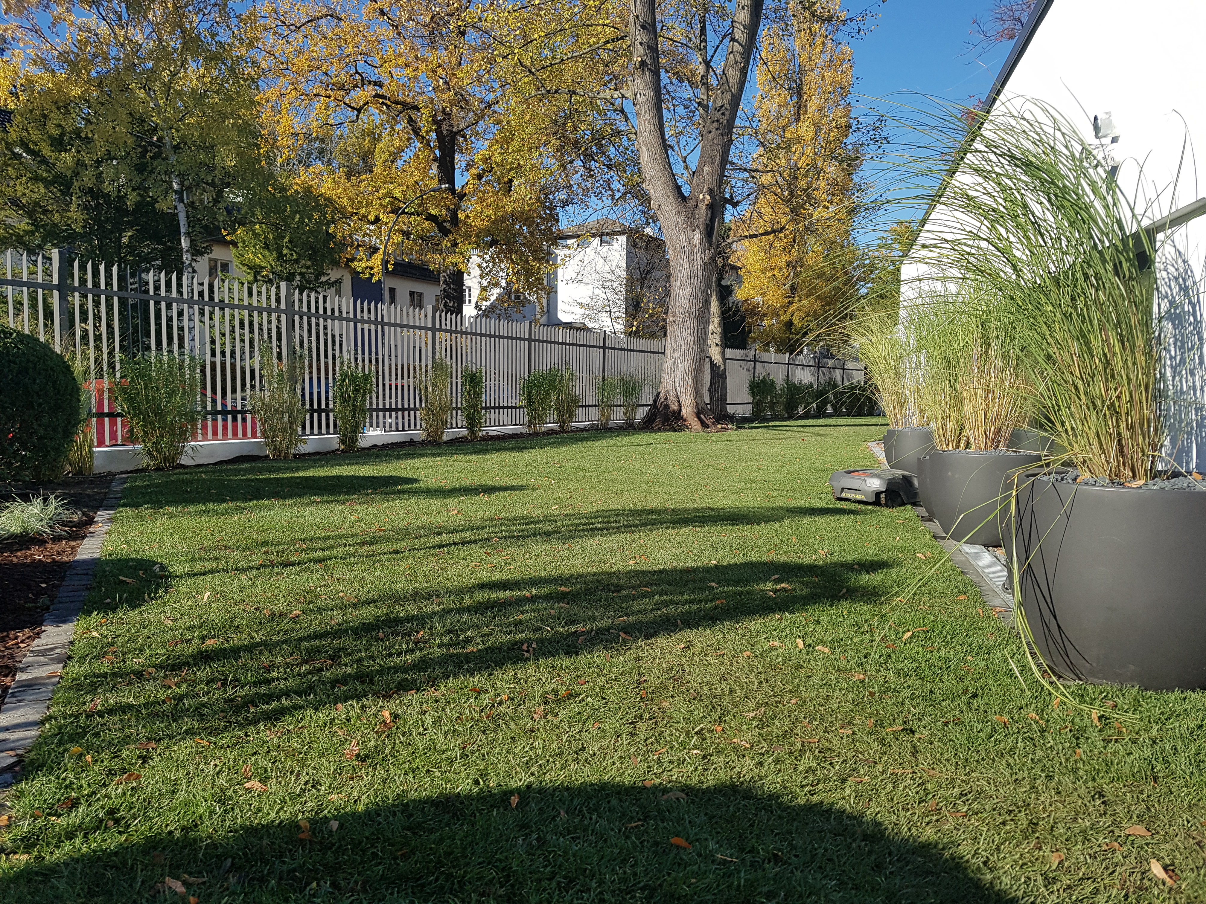 lorem ipsum dolor sit