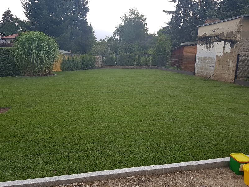 lorem ipsum dolor sit