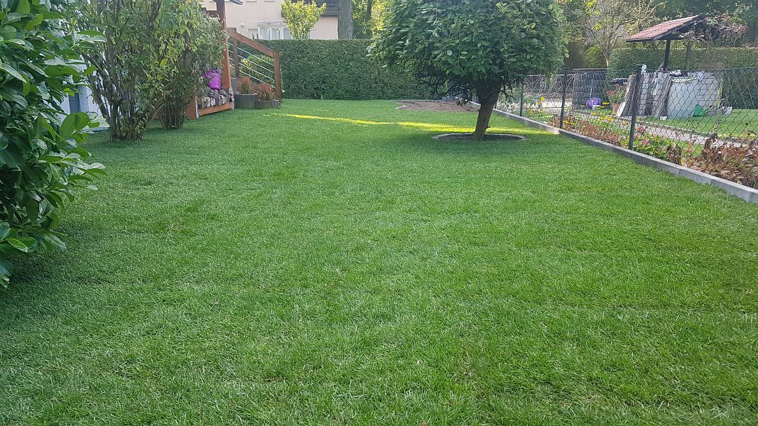 lorem ipsum dolor sit