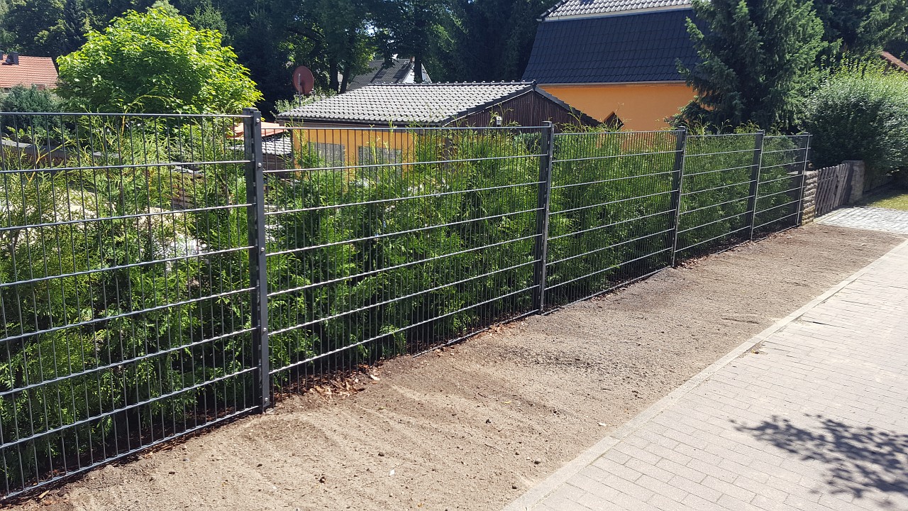 lorem ipsum dolor sit