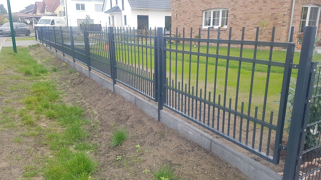 lorem ipsum dolor sit