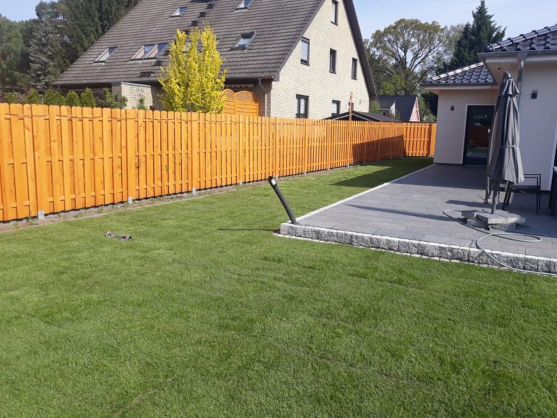 lorem ipsum dolor sit